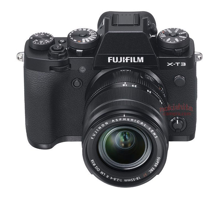 photolemurapp安卓版photolemur安卓版v10
