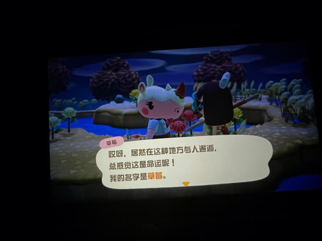 东森苹果版注册注册新加坡苹果id