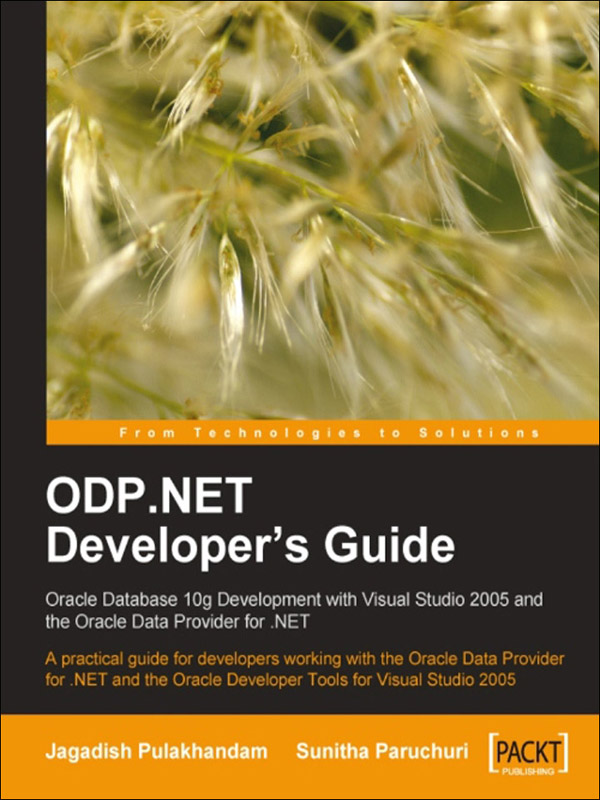 .net客户端odponlineerp客户端安装包-第2张图片-太平洋在线下载